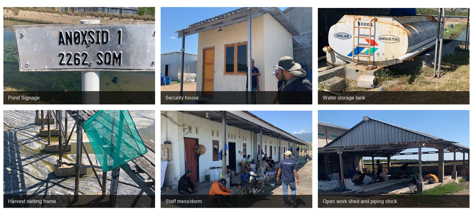 For Sale: Operating 11 Ha Shrimp Farm with c. 60 Ha Expansion Land, Sumbawa