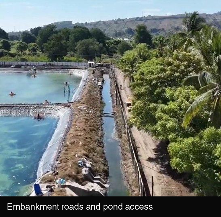 For Sale: Operating 11 Ha Shrimp Farm with c. 60 Ha Expansion Land, Sumbawa